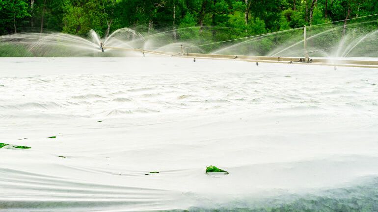 Vannspredere over en hage