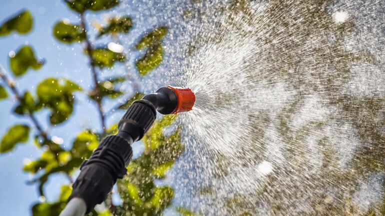 Spyler middel på planter
